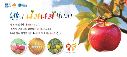 청송사과 14년 연속 대상